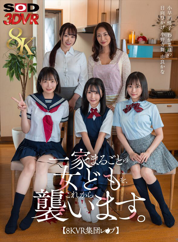 【人気配信旬報 マニア向け情報館】【VR】【8K】【VR集団レ×プ】一家まるごとの女どもを、これから襲います。 画像1